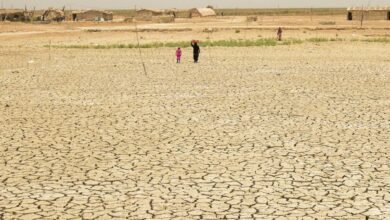 صورة نساء الأهوار يتحدين الجفاف وتغير المناخ بالتكيف مع الأزمات